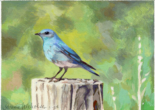 Mountain Bluebird #2, casein