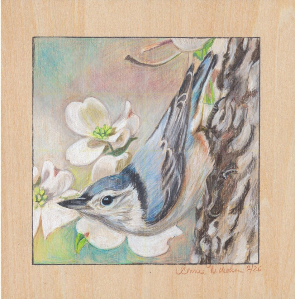 Colored pencil on wood panel, 8 X 8 inches