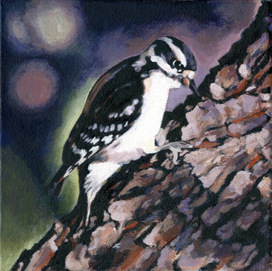 Black and White 2 (Downy Woodpecker), oil