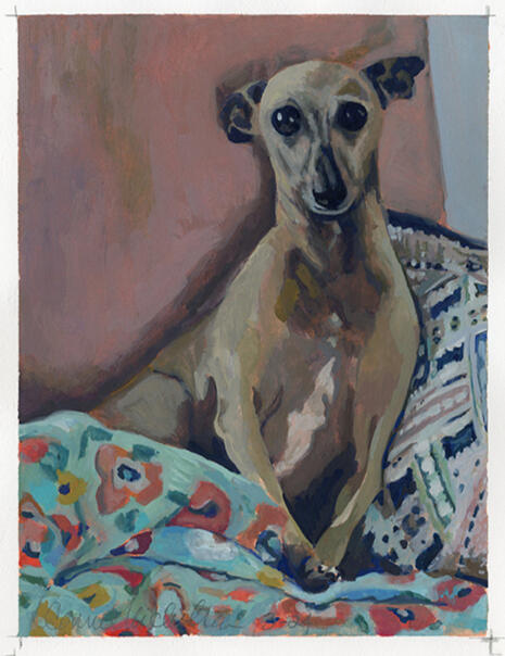 Toby, gouache