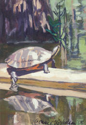 Turtle at Caddo Lake, gouache