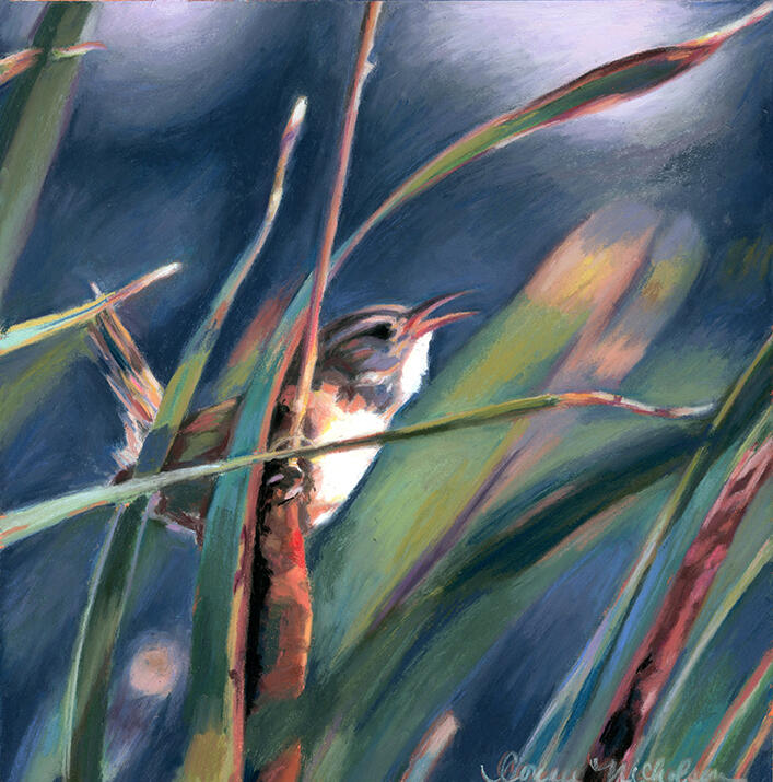 Wren in the Cattails